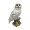 The Spiritual Living Owl Statue For Good Luck Ii Aesthetic Resin Owl Art Figure Showpiece Ii 3.5 Inch Ii Feng Shui & Vastu Ii Evil Eye Ii Owl Showpiece For Home Decor, Fantasy, Multicolor