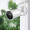 Power Pixel 5MP 4K FHD Wi-Fi Outdoor PTZ Security Camera with 360 degree Video Coverage, Two-Way Audio Talk & Colored Night Vision